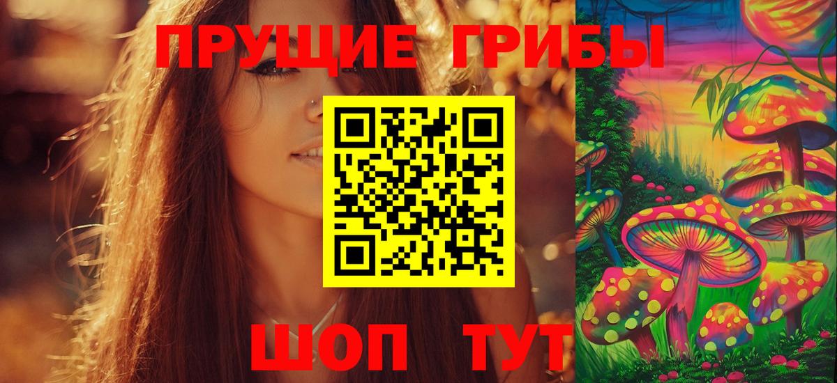 Людиново  Псилоцибиновые грибы Cubensis  Вход с VPN 
