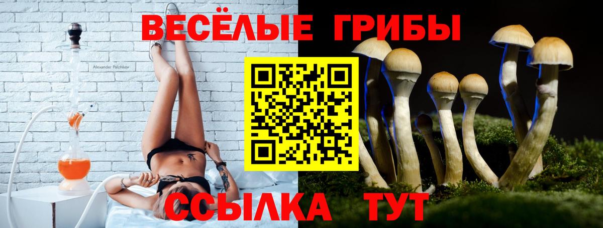 Галлюциногенные грибы прущие грибы Людиново